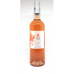 1001 Pierres Vin Rosé - 75...
